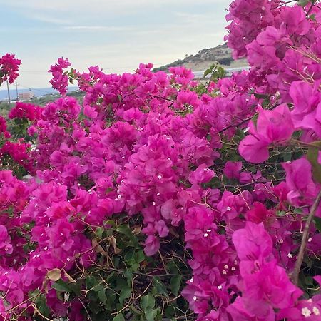 Villa Marmelada Ιεράπετρα Εξωτερικό φωτογραφία