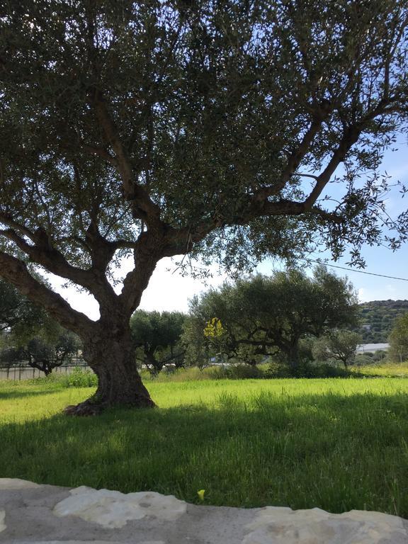 Villa Marmelada Ιεράπετρα Εξωτερικό φωτογραφία