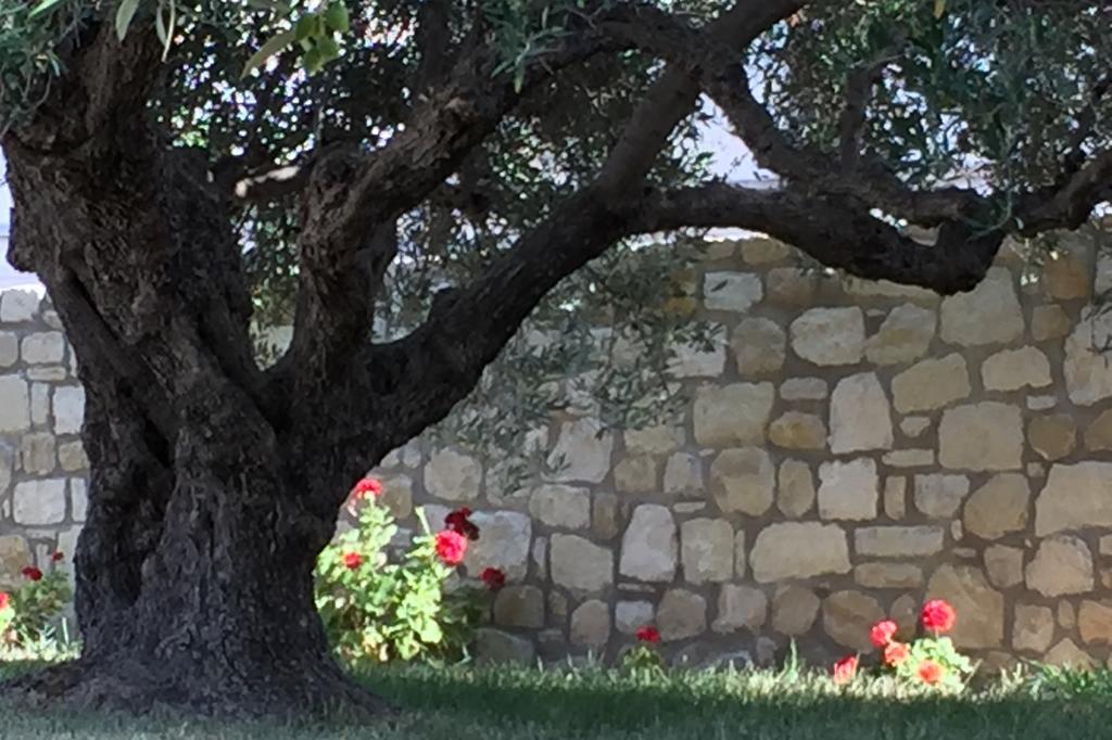 Villa Marmelada Ιεράπετρα Εξωτερικό φωτογραφία