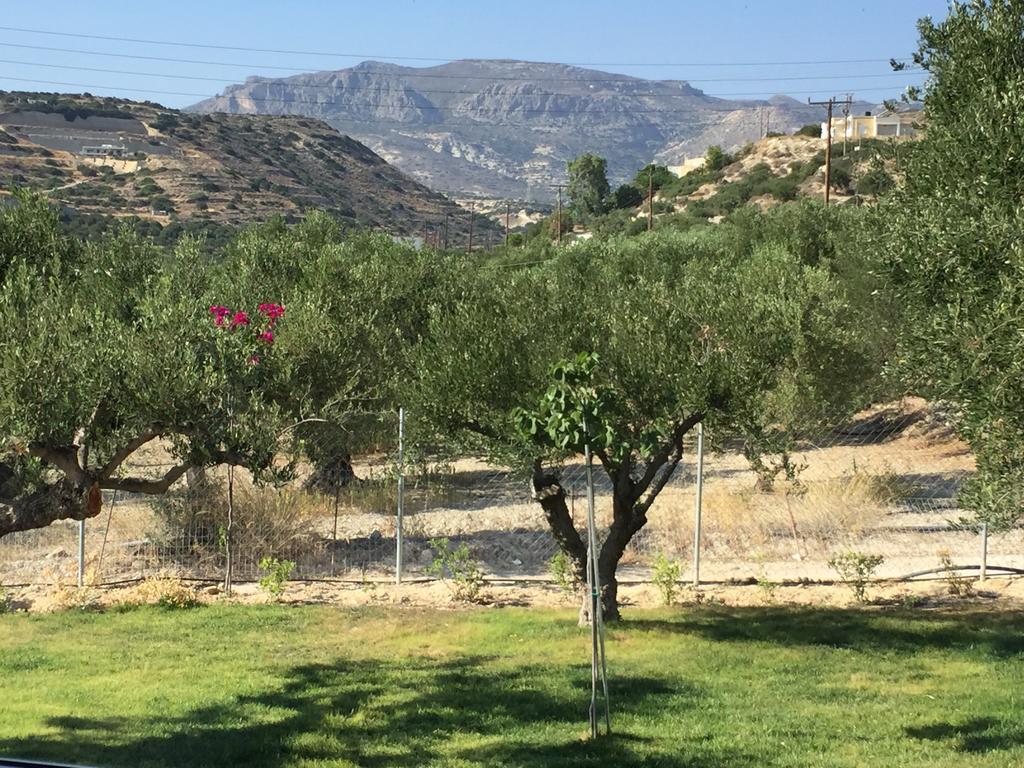 Villa Marmelada Ιεράπετρα Εξωτερικό φωτογραφία
